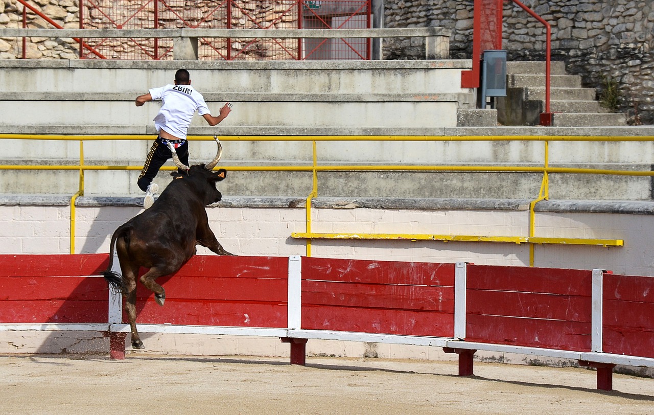 斯洛特