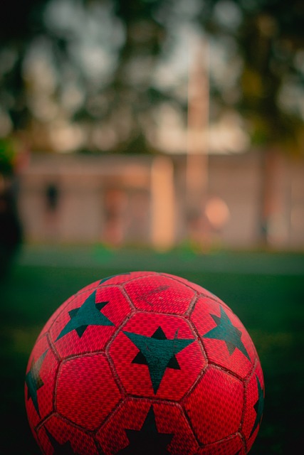 报告的重要 报告的重要