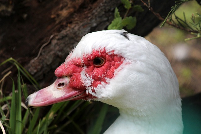 团队合作能 团队合作能