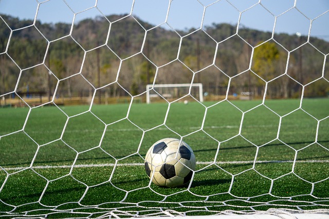 和青训培养 和青训培养