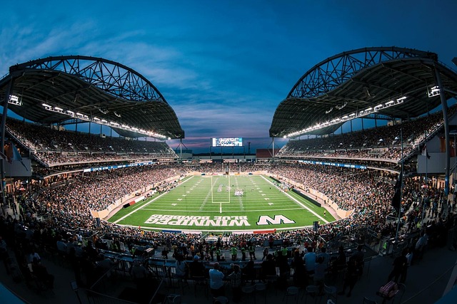 总结来看 总结来看