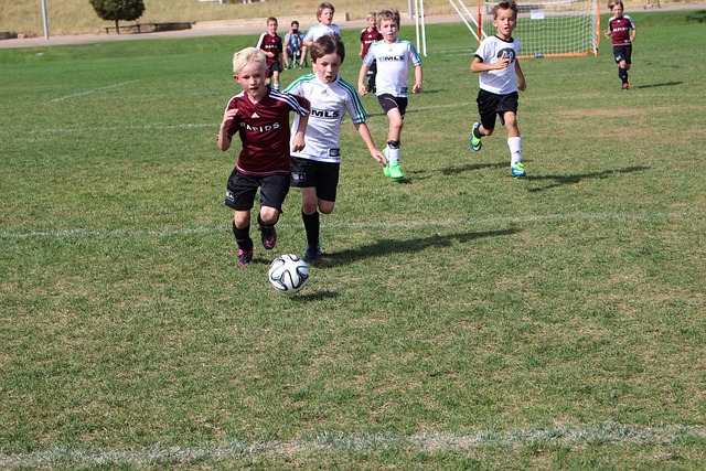 教练和选手 教练和选手