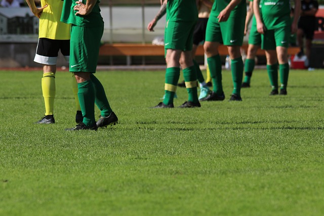 团队由来自 团队由来自