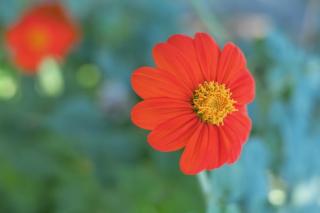 这也为他们 这也为他们