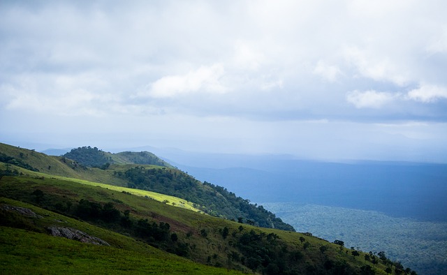 都为球员的 都为球员的