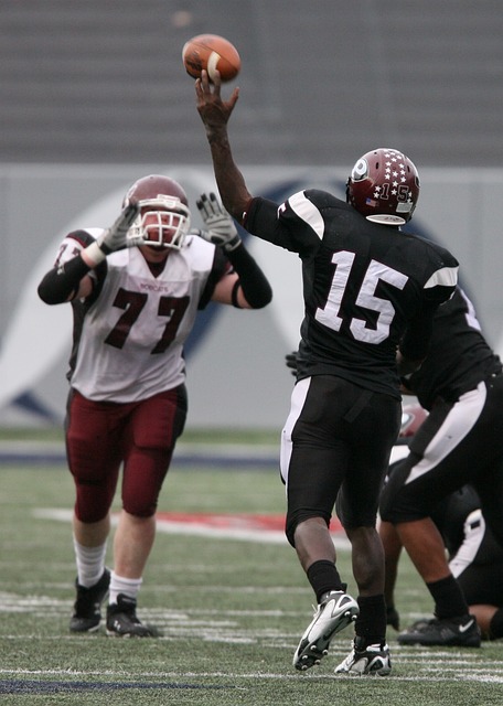 影豹的未来 影豹的未来