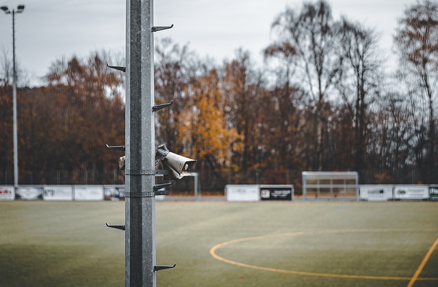 确保了球队 确保了球队