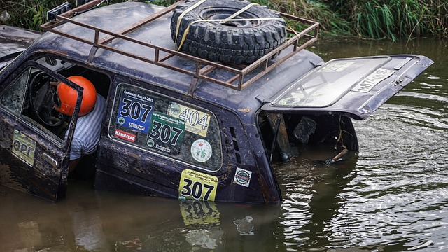 动网约护士 动网约护士