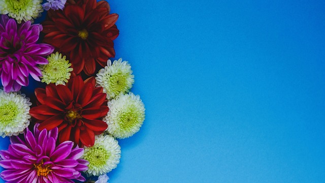 费德里科 费德里科