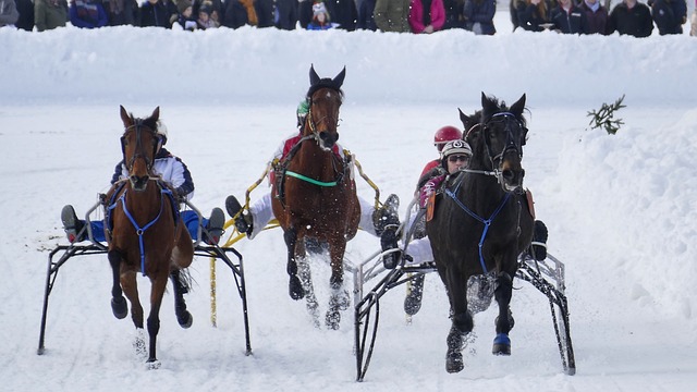 近年来不断 近年来不断