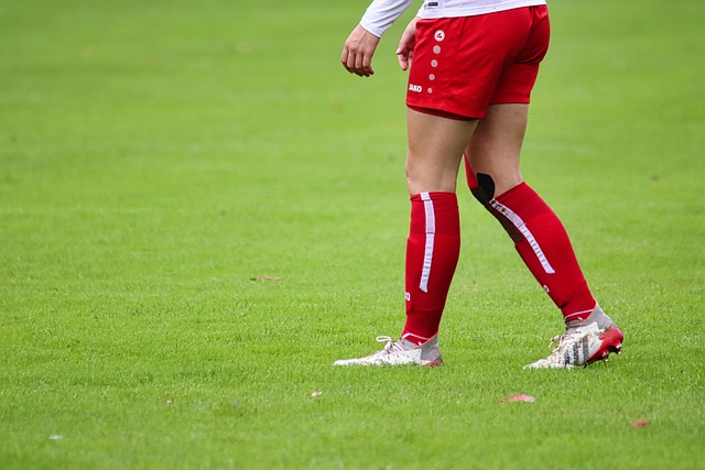 乒乓球界地 乒乓球界地