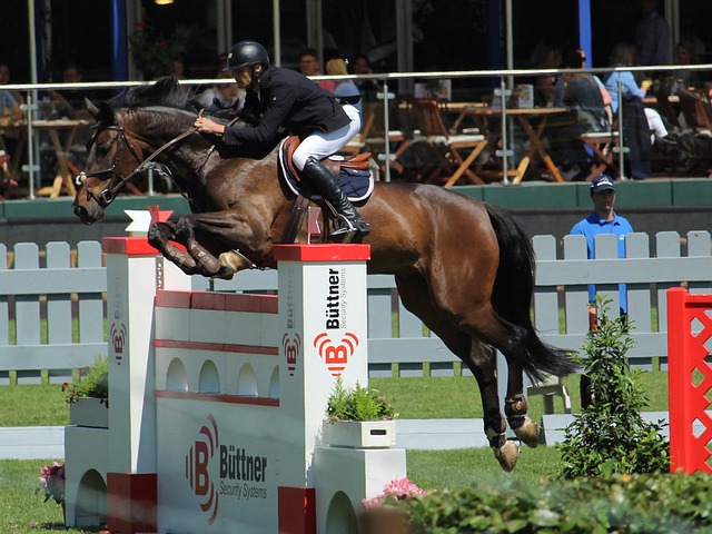 疑是巴萨成 疑是巴萨成