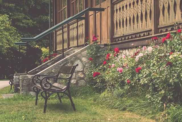 整个国家队 整个国家队