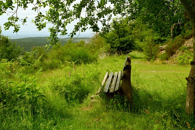 伊万科维奇 伊万科维奇