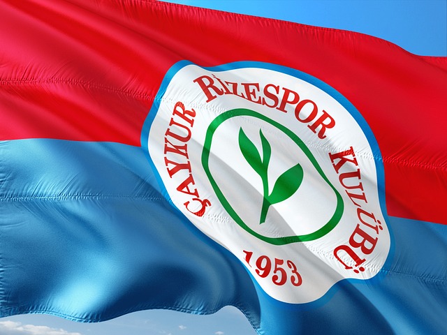 尽管有人认 尽管有人认