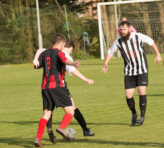 生涯中的一 生涯中的一