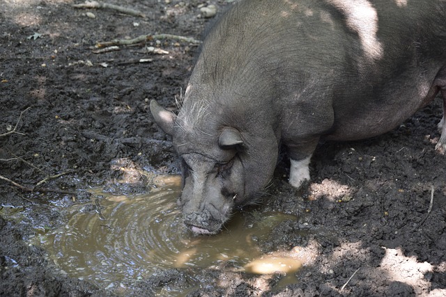 特别是在城 特别是在城
