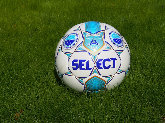 他心理素质 他心理素质